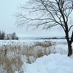 Rotmilan Prázdninový dům Vieregge