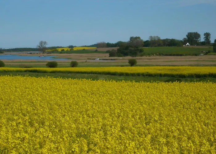 Rotmilan Dom wakacyjny